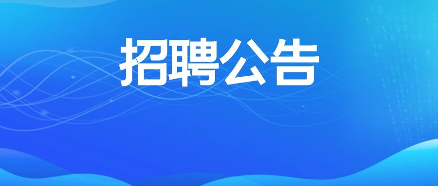 云南博信教育集团2024年12月招聘公告