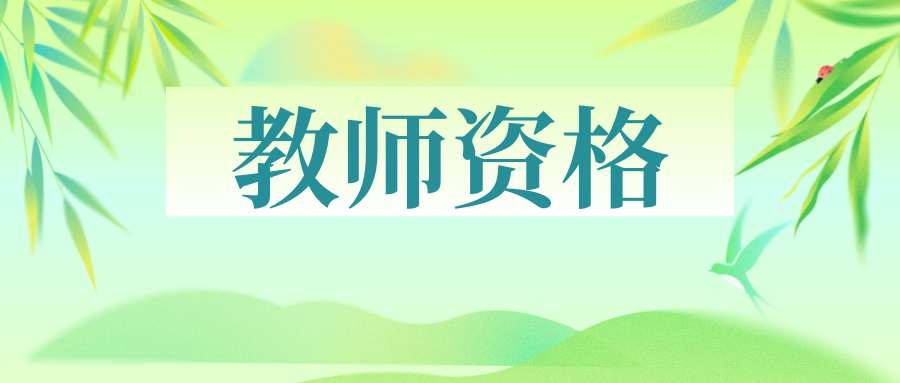 2025年小学《教育教学知识与能力》冲刺习题（九）
